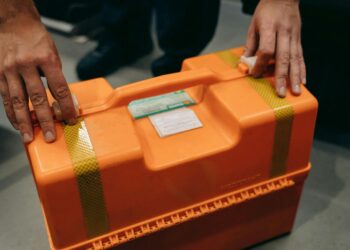 Mental‑Health First Aid Moves From Wellness Perk to Corporate Capital Lever