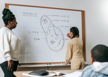 Mentorship as a Structural Lever to Close the Scholarship Gap