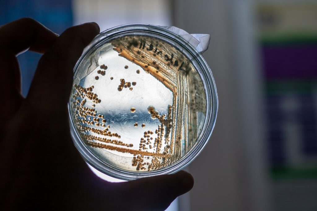 Microbiome‑Driven Start‑ups Reshape Wellness, Capital Flows and Institutional Power