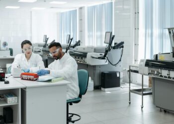 Mindful Leadership as a Structural Lever for Career Capital in the Post‑Pandemic Economy