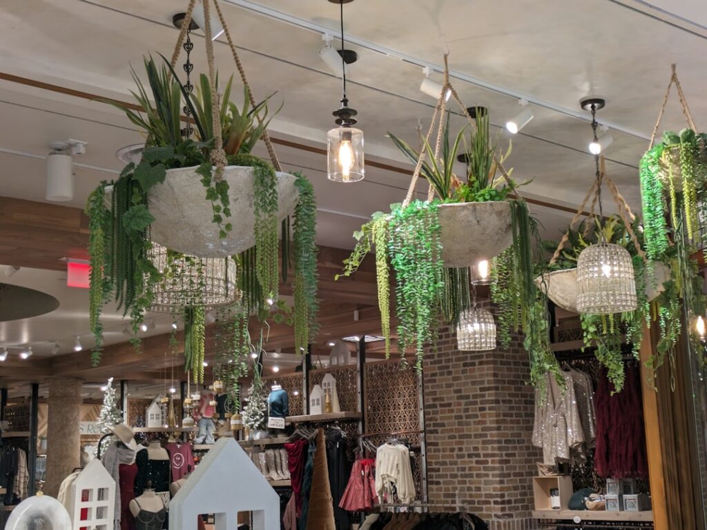 Nature as a Competitive Lever: How Biophilic Design Reshapes Retail’s Institutional Landscape