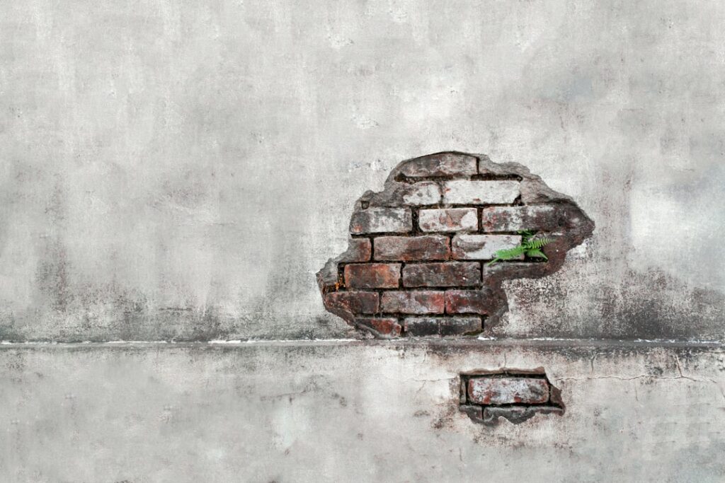 Neurodiversity at Work: A Structural Lever for Mental‑Health‑Aligned Productivity