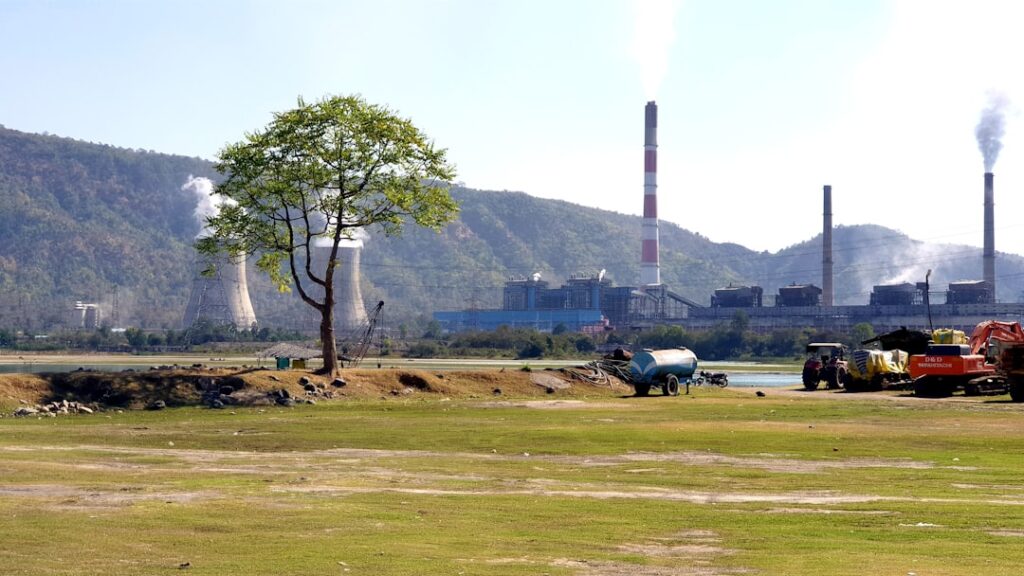 IPO Calendar: Coal India Subsidiary, 6 More Companies Set to Debut