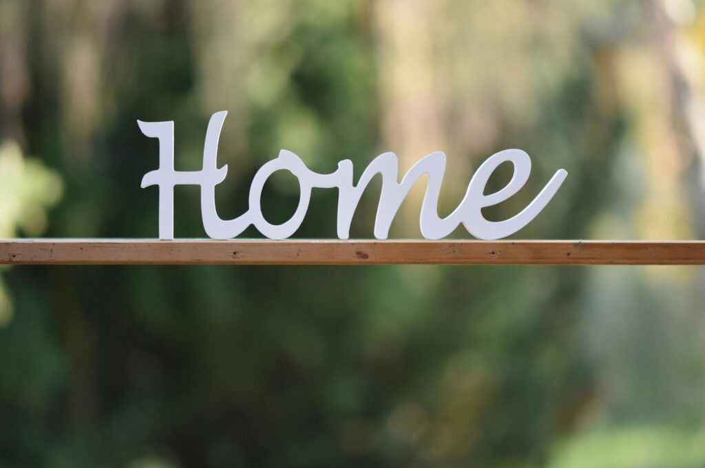 Programmable Genomes Reshape Economic Mobility and Institutional Power