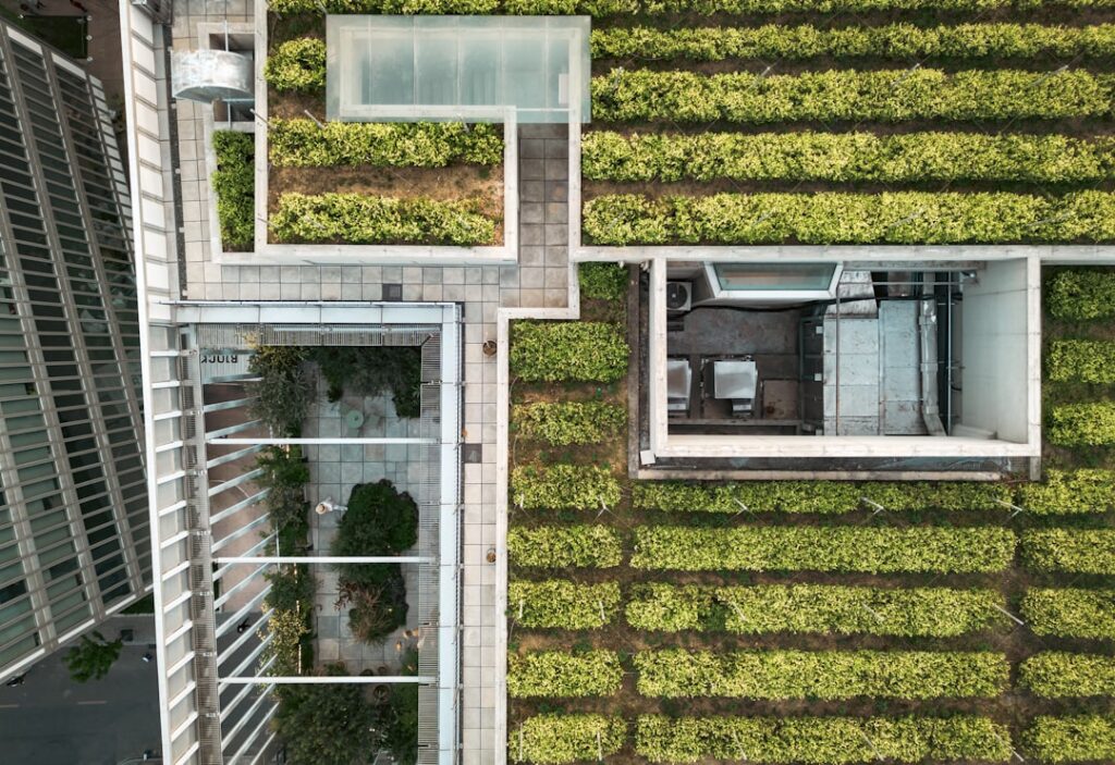 Regenerative Real Estate Shifts the Structural Foundations of Urban Growth