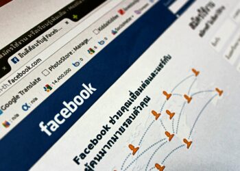 Social Media’s Dual Role in Career Capital: How Online Support Shapes Mental Health and Economic Mobility