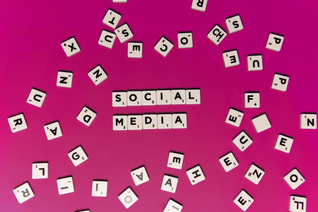 Social Media’s Dual Role in Career Capital: How Online Support Shapes Mental Health and Economic Mobility