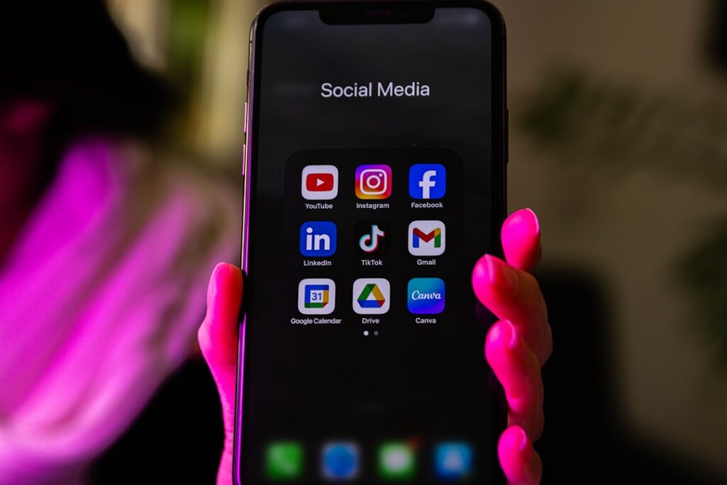 Social Media’s Dual Role in Career Capital: How Online Support Shapes Mental Health and Economic Mobility