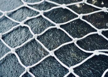 State‑Sponsored Cyber Assaults on the Dark Net: Structural Risks for Digital Careers and Institutional Power