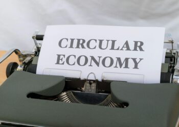 Sustainable Roadmaps: How Product Leaders Are Embedding Circular Design into Corporate Trajectories