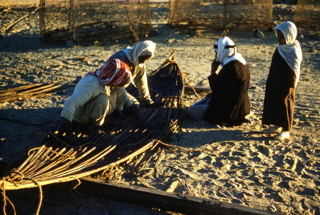Sustainable Skill‑Shifts Redefine Labor‑Market Resilience