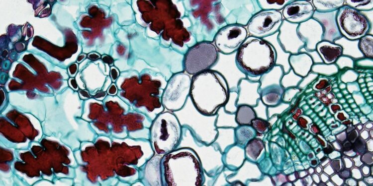 Synthetic Biology Reshapes Biomanufacturing: Institutional Leverage, Career Capital, and the New Economic Engine