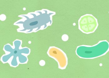 Synthetic Biology’s Regulatory Frontier: How New Pathways Shape Innovation, Capital, and Careers