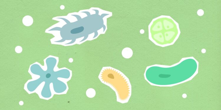 Synthetic Biology’s Regulatory Frontier: How New Pathways Shape Innovation, Capital, and Careers