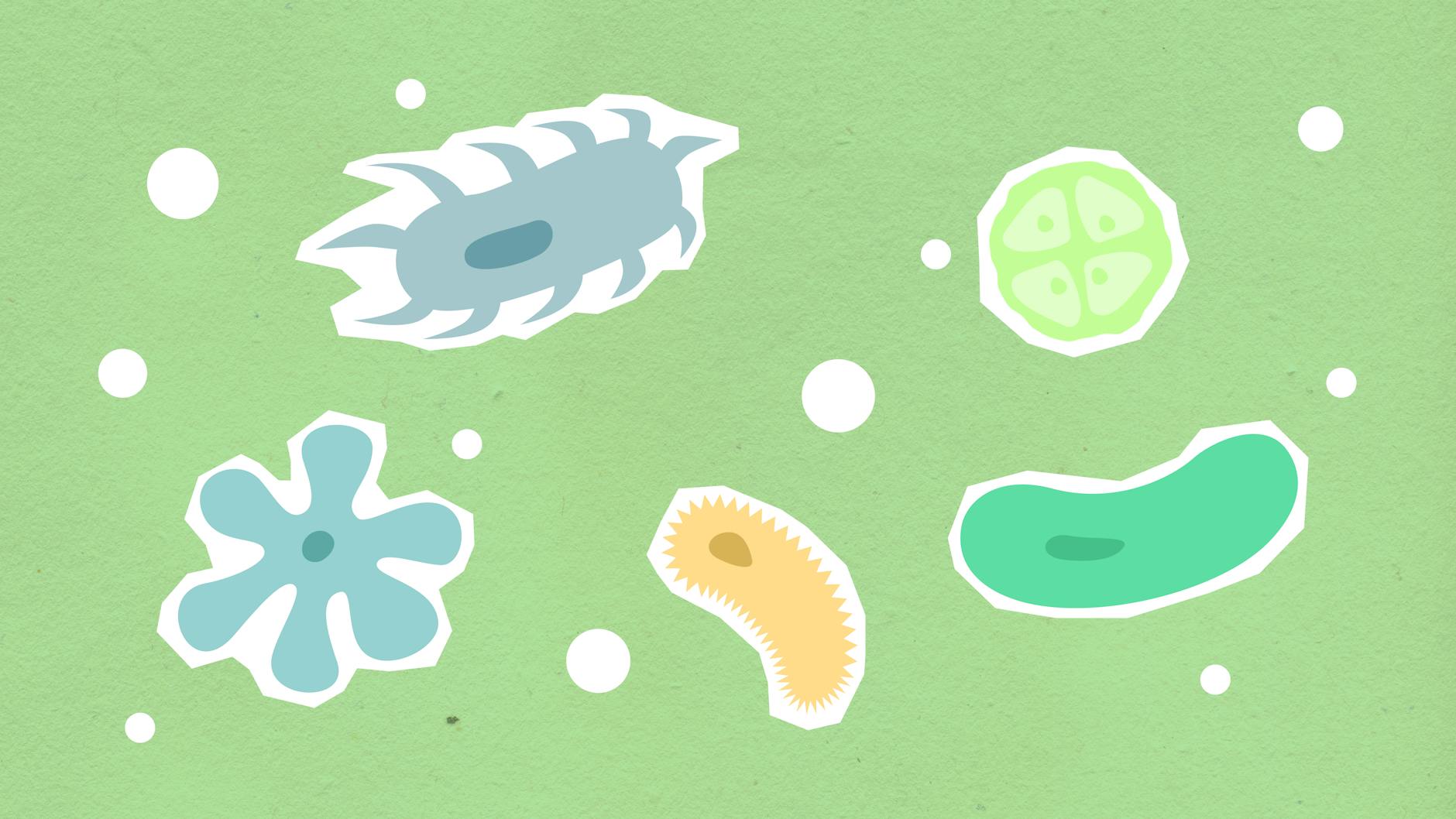 Synthetic Biology’s Regulatory Frontier: How New Pathways Shape Innovation, Capital, and Careers