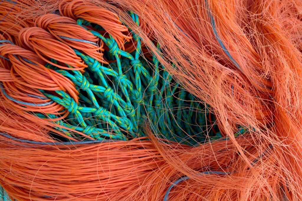 Synthetic Biology’s Structural Surge: How Engineered Life Is Redefining Traditional Industries