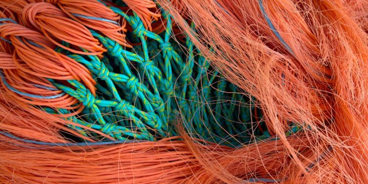 Synthetic Biology’s Structural Surge: How Engineered Life Is Redefining Traditional Industries