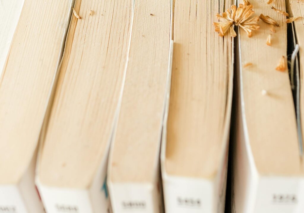 Title IX in the Digital Age: How Data‑Driven Tools Are Reshaping College Athletics Compliance