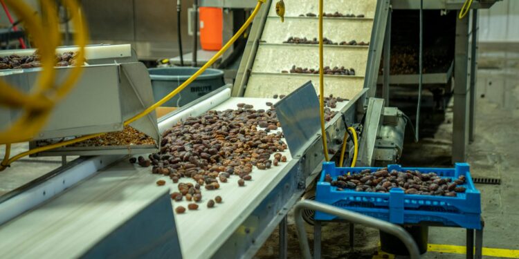 Transparent Threads: How Visibility Is Reshaping Fashion’s Product Cycle and Talent Landscape