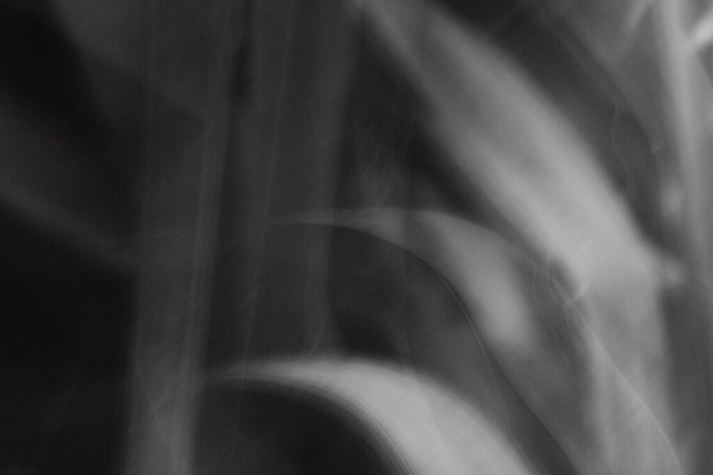 Harvey’s $11 Billion Valuation: A New Era in Legal AI