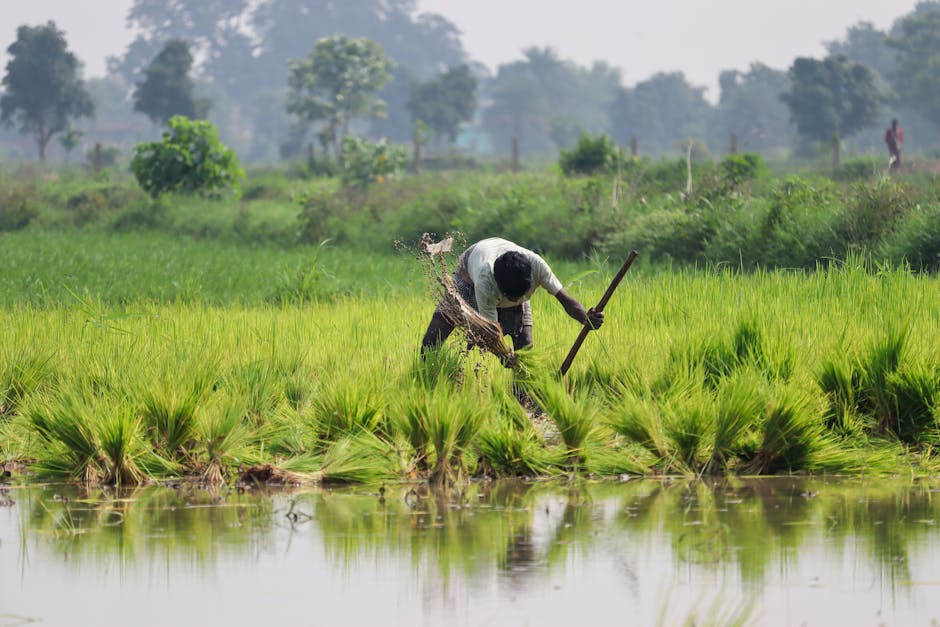 Odisha to add 36 assistant professor posts to strengthen rural colleges | Apr 22