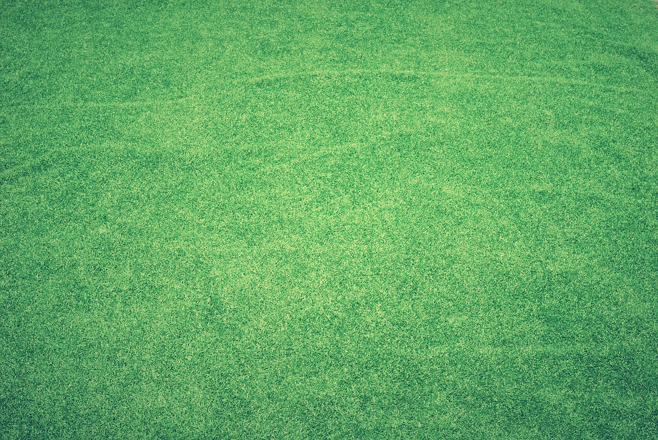 Is fake grass a bad idea? The AstroTurf wars are far from over.