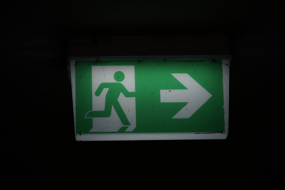 The 12-Month Window: Timing Exits for Maximum Value