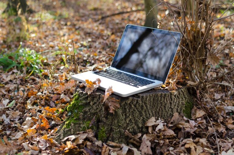 Exploring Nature Through Technology