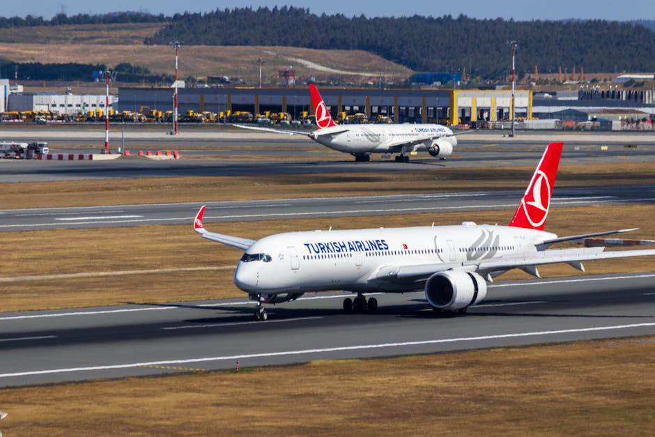 Fly91 to expand network to 12 cities and the New Career Landscape