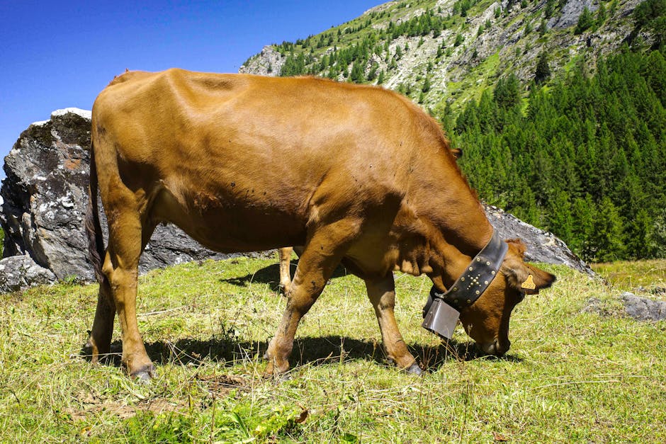 Peter Thiel's Investment in Solar-Powered Cow Collars: A Game Changer for Agriculture