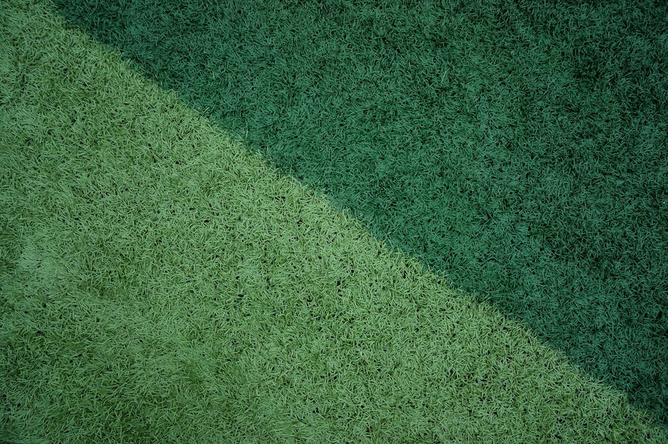 AstroTurf Wars and the Rise of AI: A Dual Challenge