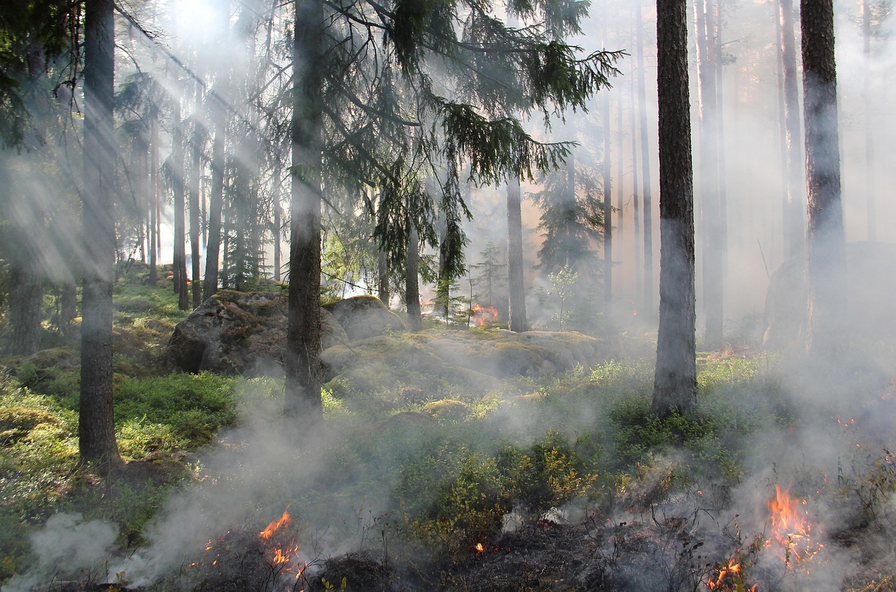 Evaluating Europe’s Conservation Policies and Their Impact