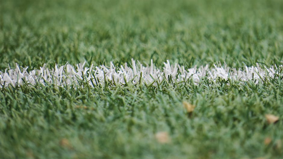 Is fake grass a bad idea? The AstroTurf wars are far from over.