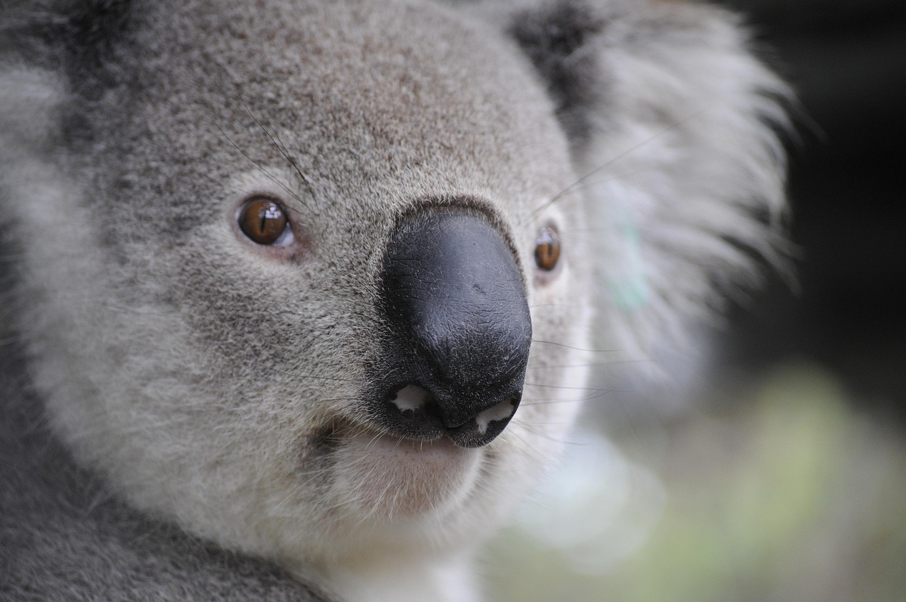 How to become a school counsellor in Australia | Skills & Jobs Update