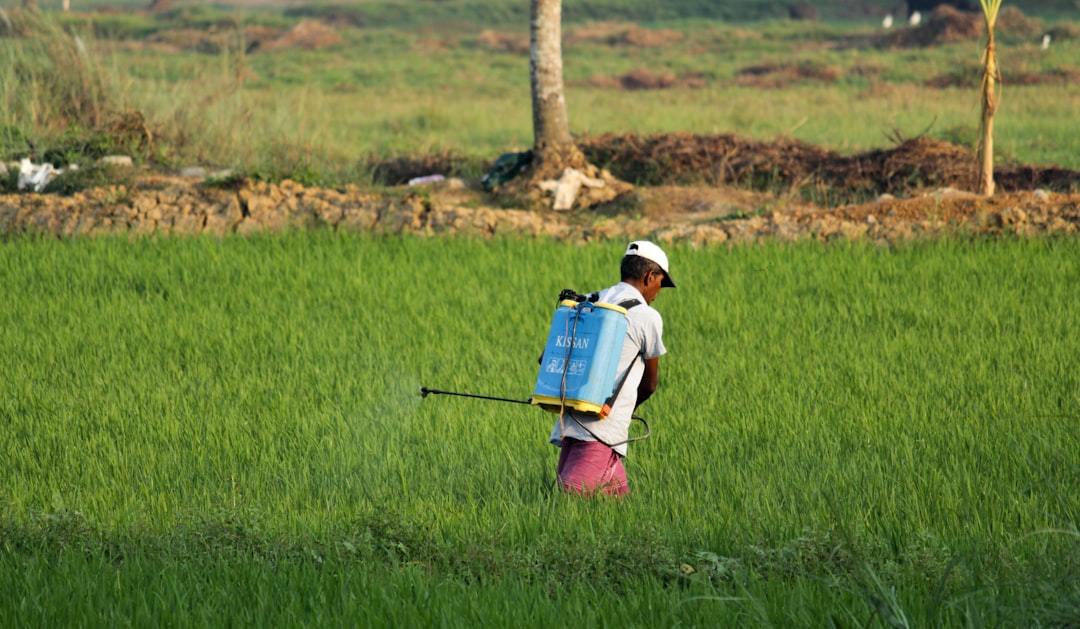 ‘India is going to face a food crisis’: Farmers panic over fertiliser shortages amid Iran war