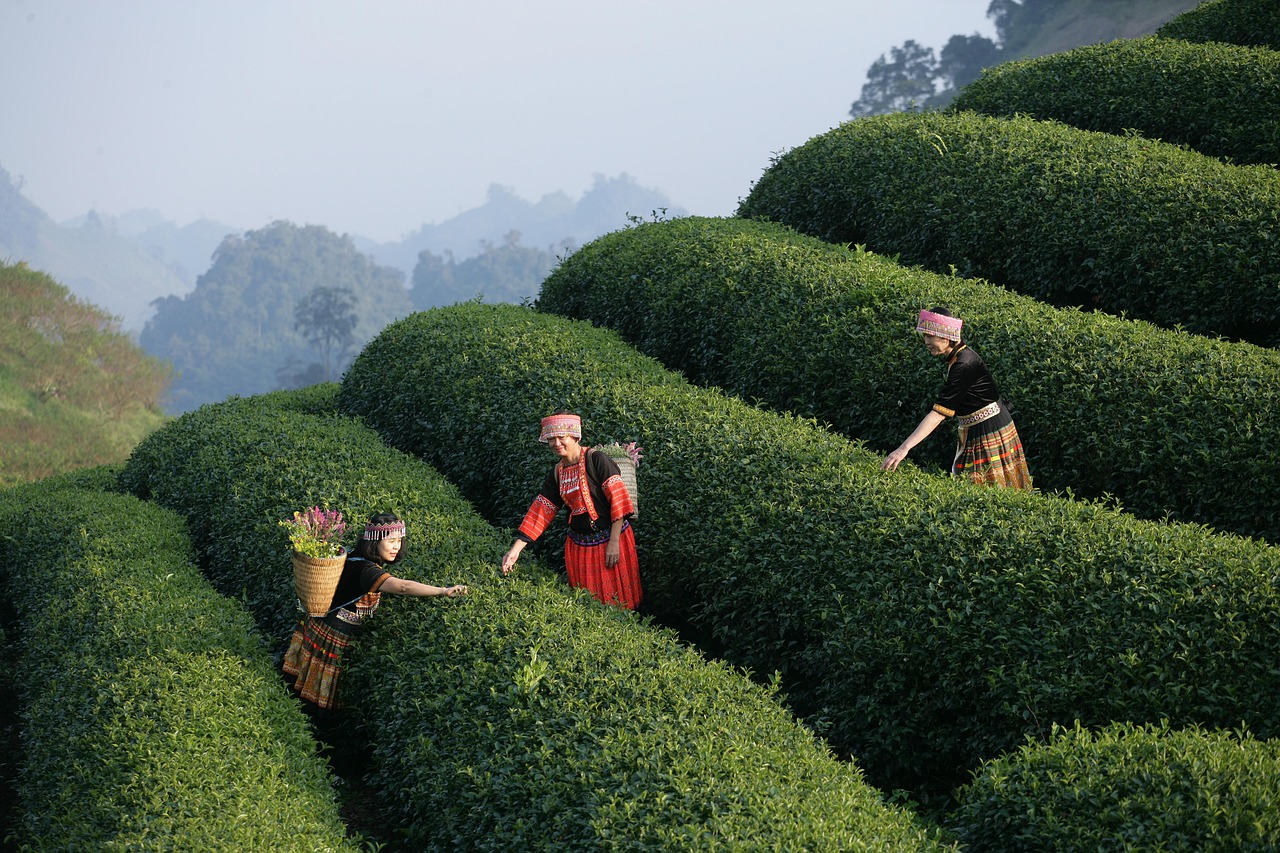 How lived experience leadership is transforming mental health | Career Outlook