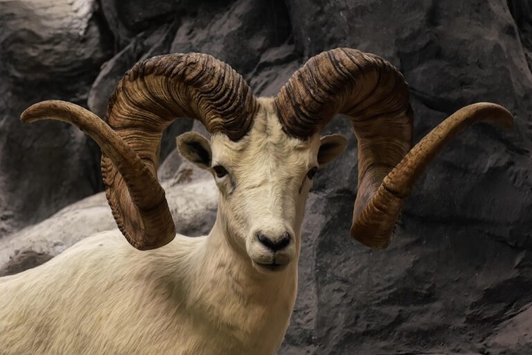 The RAM shortage could last years | Apr 20