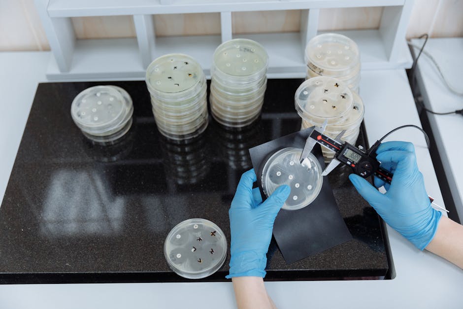 AI's Role in Combating Antibiotic Resistance
