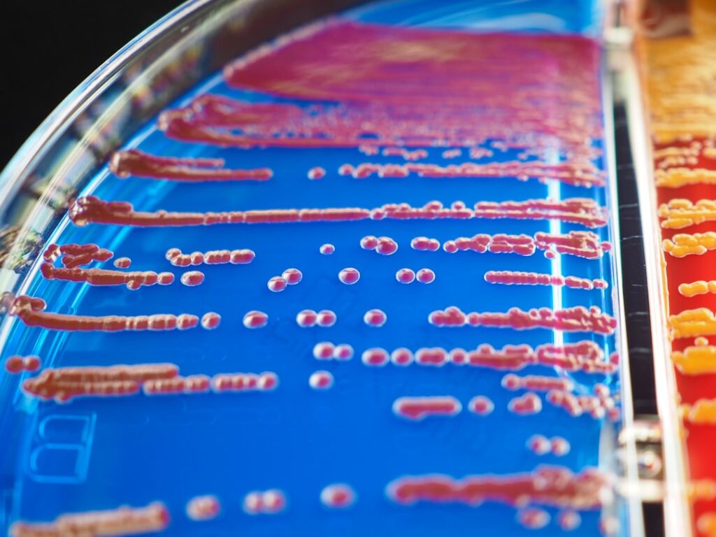 The Download: murderous ‘mirror’ bacteria, and Chinese workers fighting AI doubles