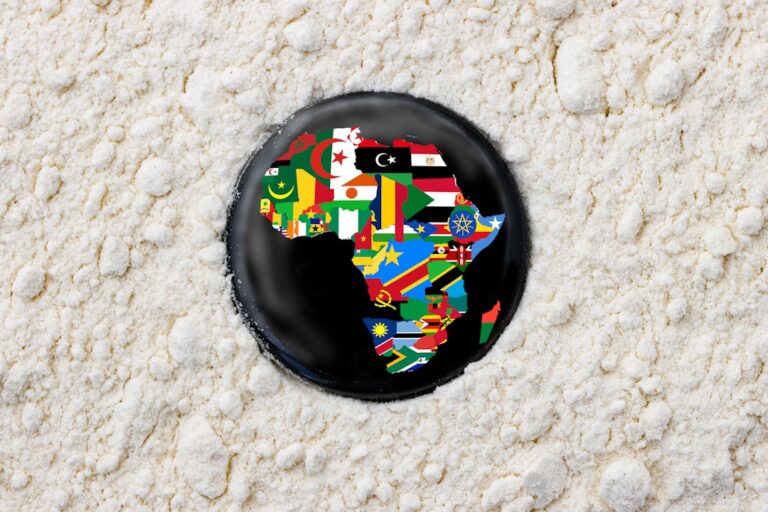 Africa Nations Tout .8 Billion Projects at Investment Summit