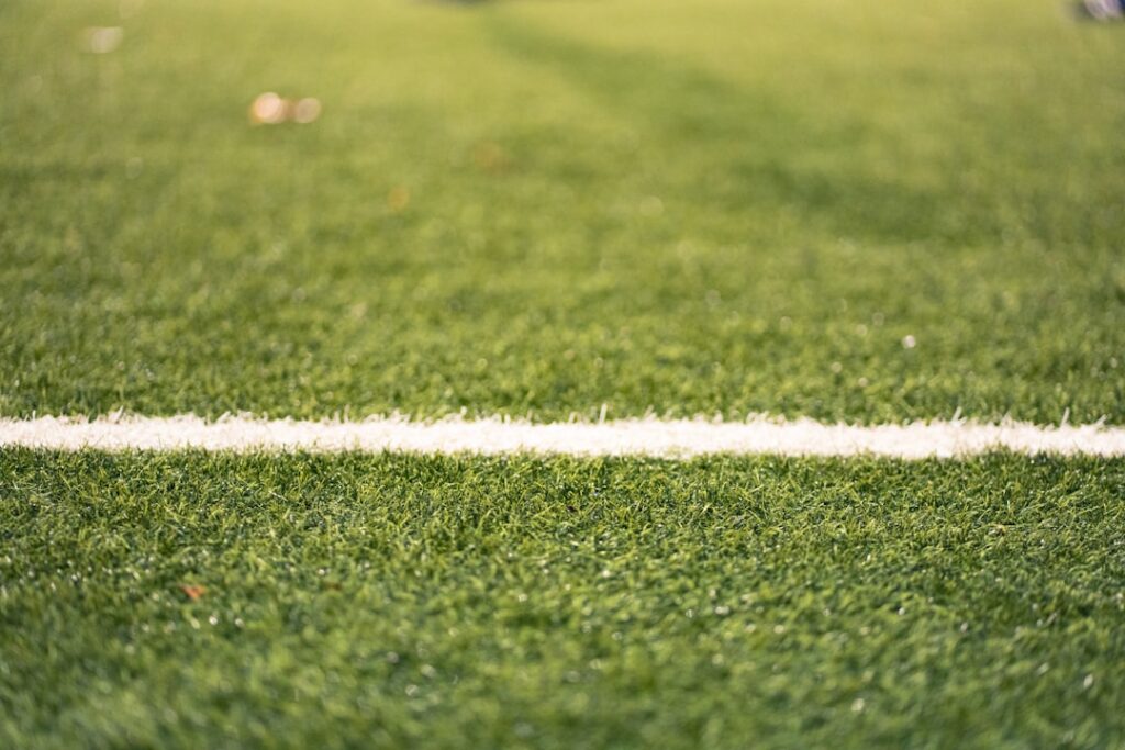 Is fake grass a bad idea? The AstroTurf wars are far from over.