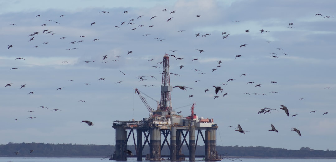 Trump to rejoin offshore drilling agencies