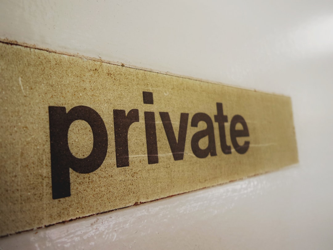 Private-Sector Sleuthing Thrives in US Tech Scene