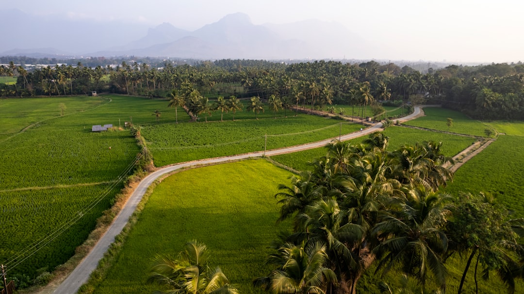 IIT Palakkad launches academic, research initiatives to boost innovation