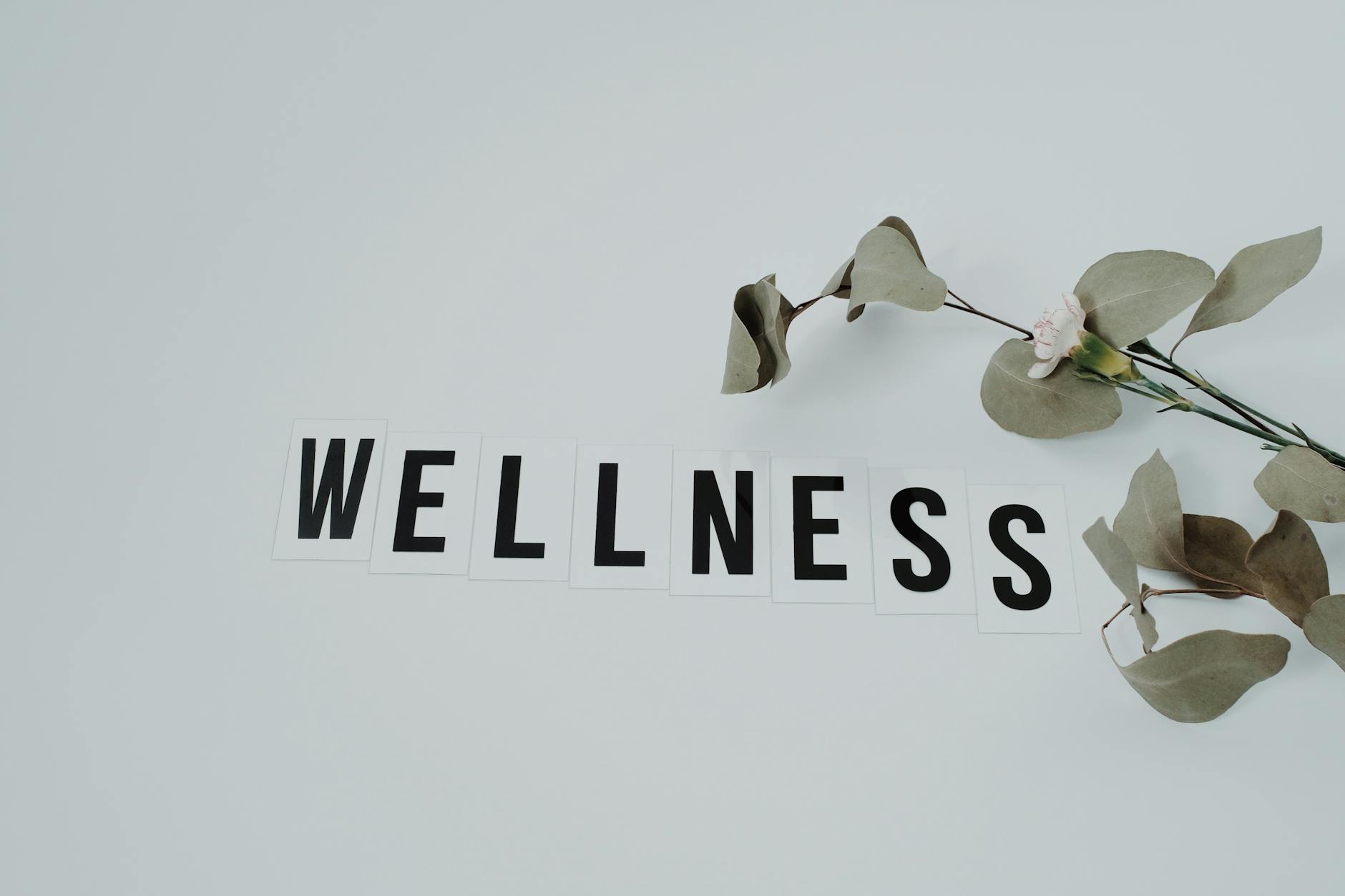 AI‑Driven Wellness Coaching Reshapes Career Capital and Institutional Power