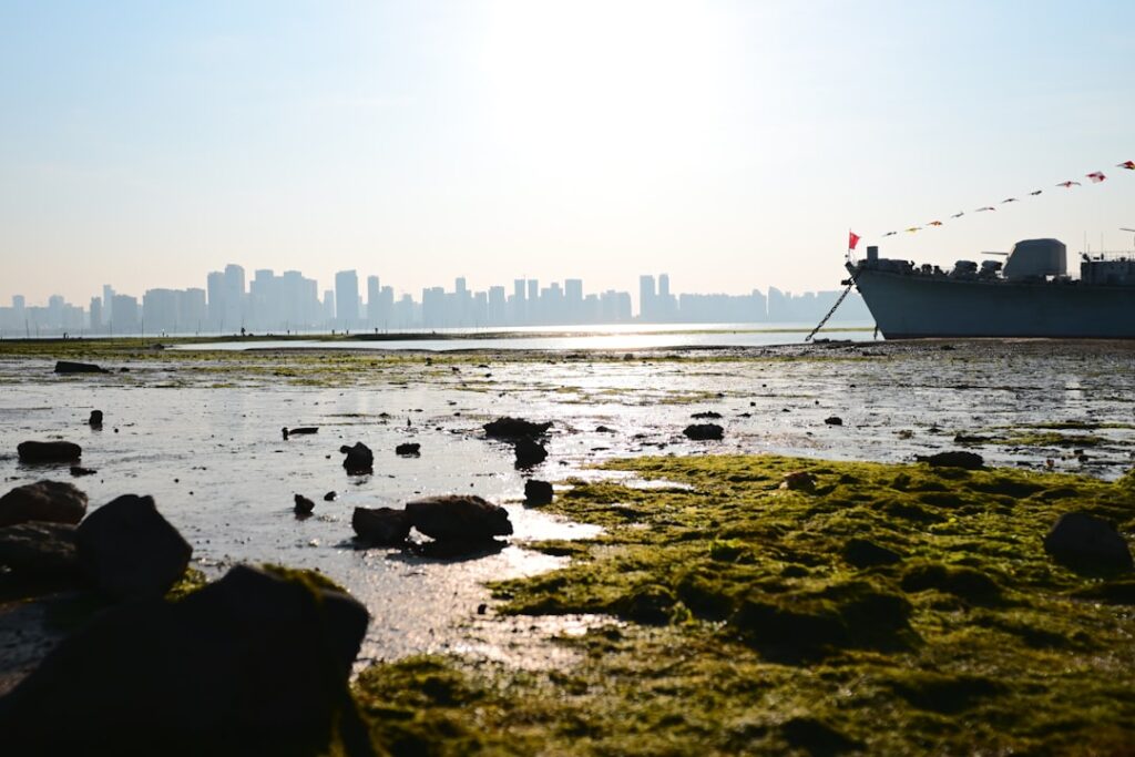 Algae in the Cityscape: How Micro‑Bioreactors Are Redefining Urban Sustainability