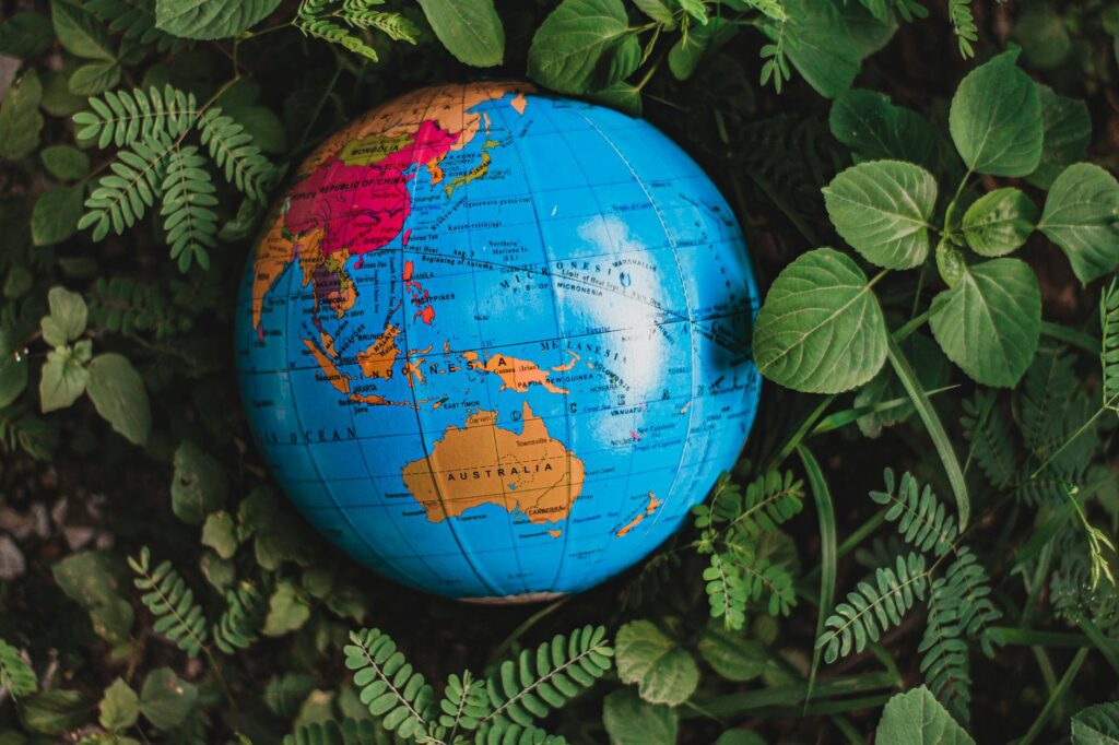 Australia’s New International Education Framework: A Structural Shift in Visa Outcomes and Global Competitiveness