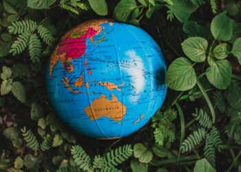 Australia’s New International Education Framework: A Structural Shift in Visa Outcomes and Global Competitiveness