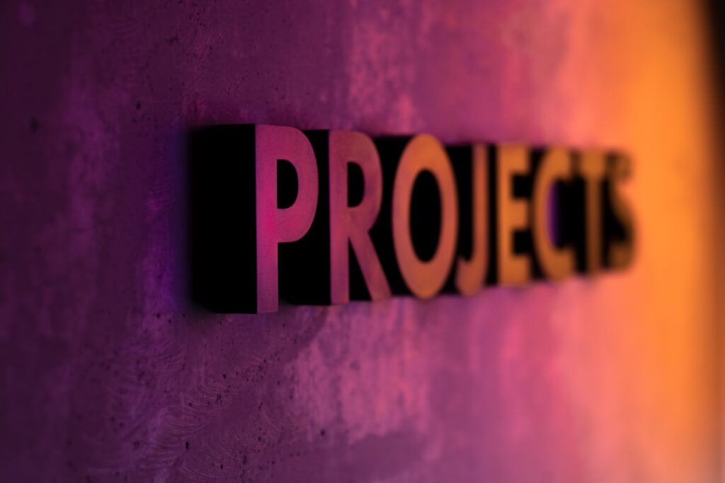 Executive Survival Guide for Capital Projects