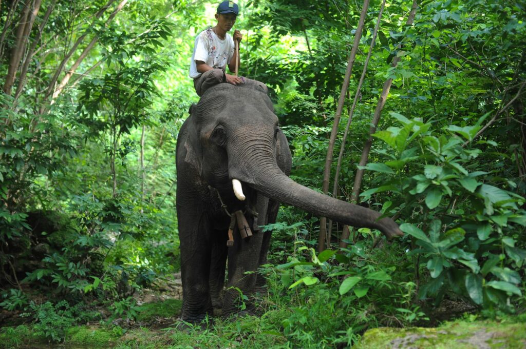 Biodiversity‑Based Tourism as a Structural Engine for Career Capital and Economic Mobility